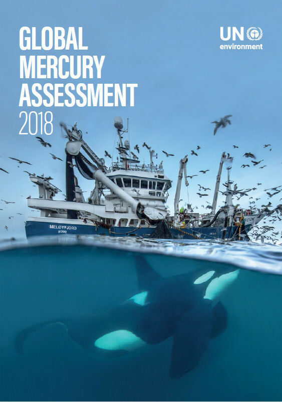 2018 UNEP Global Mercury Assessment