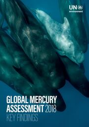 2018 UNEP Global Mercury Assessment Key Findings